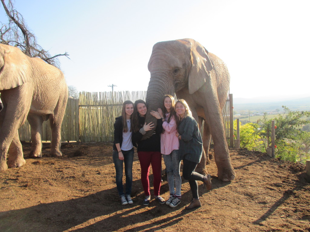 Made friends with some elephants (yes they hugged us with their trunks)